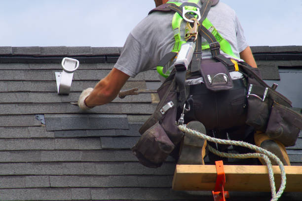 Best Local Roofing Companies  in Tangelo Park, FL