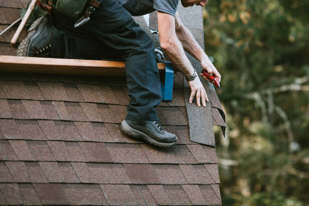 Best Shingle Roofing Installation  in Tangelo Park, FL